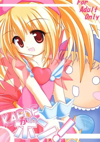Kakushi Dori 3