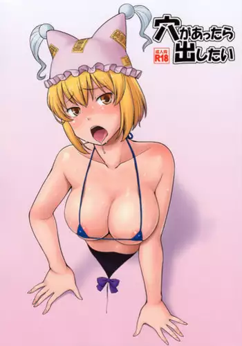 (C84) [Hinemosuan (Hinemosu Notari)] Ana ga Attara Dashitai | If There's a Hole, I Want to Use It! (Touhou Project) [English] {Sharpie Translations}