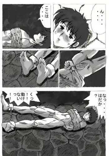 Miserable Silver (murataka)