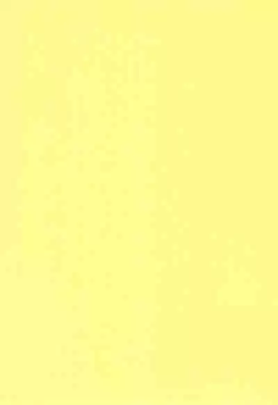 (Puniket 23) [Shikkoku no Hekireki (EGAMI)] Ai wa Genki desu. (Pokémon)