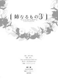 (C90) [Pochi-Goya. (Pochi.)] Ane Naru Mono 3 (Ane Naru Mono) [Chinese] [沒有性慾是一個姐姐解決不了的，如果有，那就兩個漢化組]