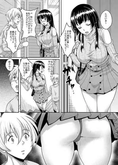 Taisetsu na Hito ga Netoraremashita