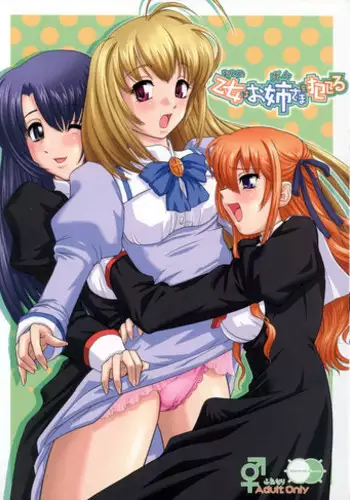 Anoko ni Itazura Maruchi Sousa 4th ~Boku no Mousou ga Genjitsu ni~