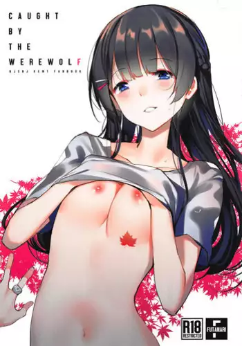 [キャビラムール (ジラ壱)] 最強!ふわふわの放浪者