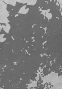 (Kouroumu 9) [662KB (Juuji)] Touka Zange (Touhou Project)