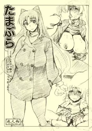 (C89) [Sago-jou (Seura Isago)] NETApre (ToHeart2) [English] [Tigoris Translates]