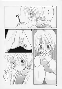 [Sakurara & Cherry (Sakura Mitsuru)] Pink Snow memoria (Hunter x Hunter)