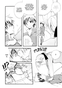 (C69) [FMD, Osova (chizuwa, karin)] Ryoushu Kukule to Eight Ouji | Lord Angelo and Prince Hero (Dragon Quest VIII) [English] [Boxer & Rice]