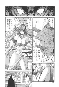 [Fujisaki Makoto] Dark Wirbel Konran-hen