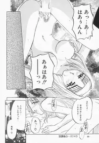 [Pegasus] Choukyou Princess