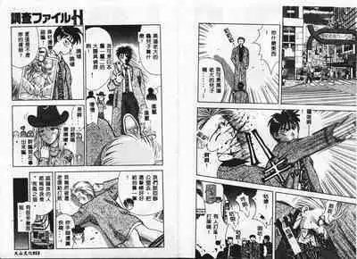 Chousa File H - Investigation File