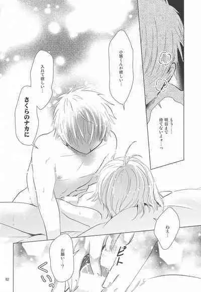 (C96) [Moku. (Yumako, Kaede Sago, Hachimitsu Yu) Suki na Hito to wa 〇〇 Shitai (Cardcaptor Sakura)