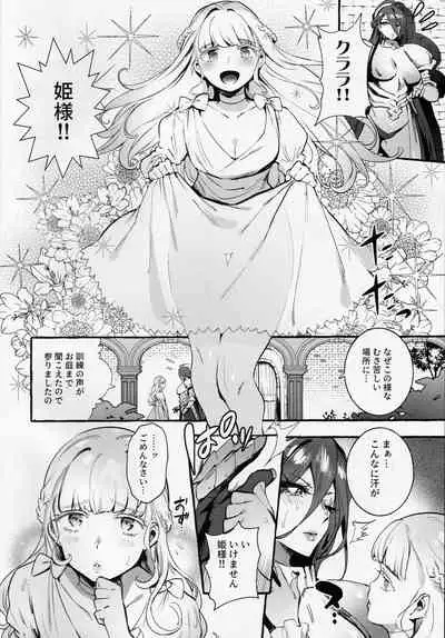 Ochinpo Onna Knight to Shojo Hime