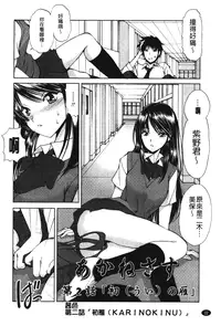 [Fujisaki Makoto] Akanesasu [Chinese]