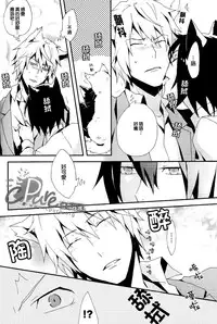 [inumog (Fujino, Marumo)] Shima Shima (Durarara!!) [Chinese]
