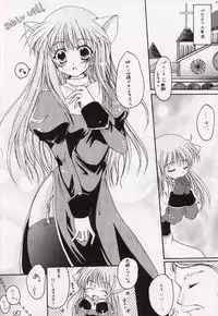 (CR34) [Hisuitei (Izumi Tsubasu)] Egao no Mukou de (Ragnarok Online)