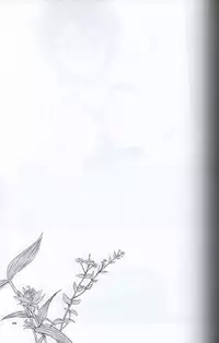 (C82) [Niratama (Sekihara, Hiroto)] Teikakazura no Hana to Hototogisu (Smile Precure!)