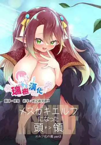 [Slime no Kanmuri (Kanmuri)] Elfka no Kusuri [Chinese] [瑞树汉化组] [Digital]