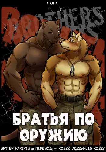 Brothers in Arms / «Братья по оружию»