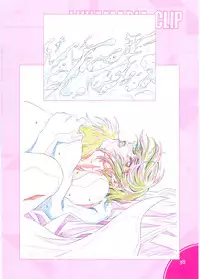 (C70)[Hen Rei Kai (Kawarajima Kou)] SEED ANOTHER CENTURY D.E. 2 (Gundam SEED Destiny)