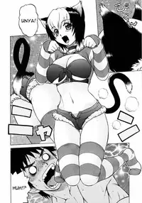 [Kouda Tomohiro] Miracle Cat Punch [English]