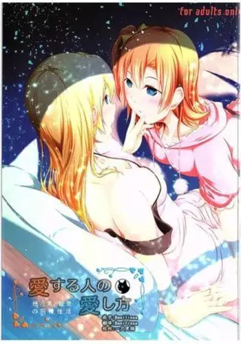 Aisuru Hito e no Aishikata