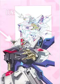 (C70)[Hen Rei Kai (Kawarajima Kou)] SEED ANOTHER CENTURY D.E. 2 (Gundam SEED Destiny)