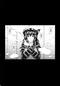 (C90) [Yokohama Junky (Makari Tohru)] Solo Hunter-tachi no Seitai (Monster Hunter) [Chinese] [中国翻訳] [VK1062喵&萌紋 漢化]