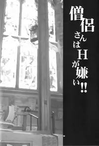 (C80) [SHALLOT COCO (Yukiyanagi)] Yukiyanagi no Hon 26 Souryo-san wa H ga Kirai!! (Dragon Quest III)