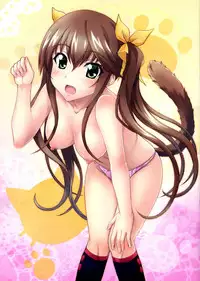 (C84) [Uninigumi (Saji, Unini☆Seven)] IP2 (Infinite Stratos)
