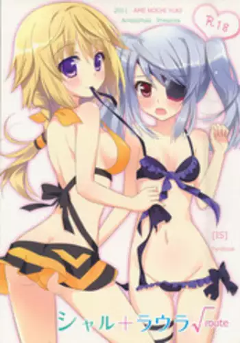 (SC51) [Raiden Yashiki (Yamaura Tamaki)] √ Char (Infinite Stratos)