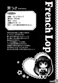 (C91) [RORITORA!! (Tsukishima Yuuko)] Usa-san no itonami H