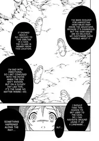(C83)[Yokohama Junky (Makari Tohru)] Solo Hunter no Seitai 4.1 THE SIDE STORY (Monster Hunter) [English] [desudesu]