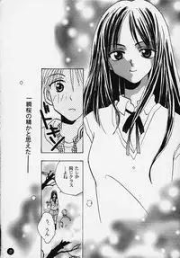 (C58) [Rocket Kyoudai] Magical☆To Heart (To Heart)
