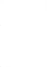 [Flieger (Ten)] Yamato Nadeshiko