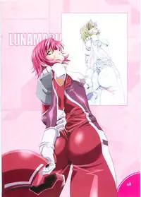 (C70)[Hen Rei Kai (Kawarajima Kou)] SEED ANOTHER CENTURY D.E. 2 (Gundam SEED Destiny)