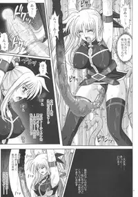 (C76) [Cyclone (Reizei, Izumi)] F840 (Mahou Shoujo Lyrical Nanoha)