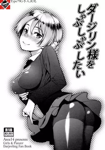 (C90) [Area14 (Kasei)] Darjeeling-sama o Shabushabu Shitai (Girls und Panzer) [Chinese] [Type79G个人汉化]