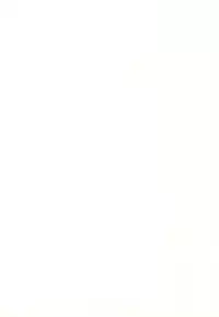 (C78) [Bakuhatsu BRS. (B.Tarou)] Kawaii Otouto-san wa Suki desu ka? Otameshiban (Final Fantasy Tactics)