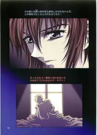 (C70)[Hen Rei Kai (Kawarajima Kou)] SEED ANOTHER CENTURY D.E. 2 (Gundam SEED Destiny)