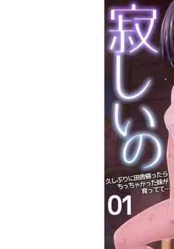 今夜、私の家に泊まりませんか？