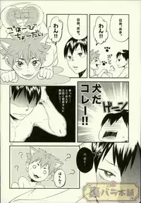 (C88) [Parade (Isoya Kashi)] Ore no Kareshi ga Inu ni Toritsukaremashite. (Haikyuu!!)