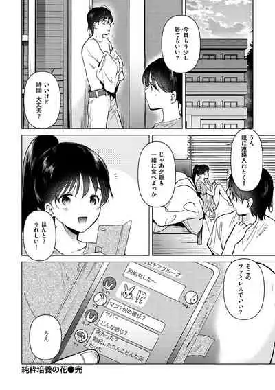 Komori Biyori - together with you