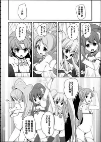 (C87) [Condiment wa Hachibunme (Maeshima Ryou)] Happiness experience2 (HappinessCharge Precure!) [Chinese]