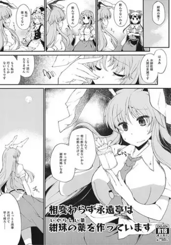(Shuuki Reitaisai 2) [IncluDe (Foolest)] Aikawarazu Eientei wa Iyarashii Kusuri o Tsukutteimasu (Touhou Project)