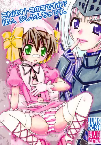 Kore wa Kettei Jikou no Shitsurenda