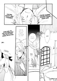 (C69) [FMD, Osova (chizuwa, karin)] Ryoushu Kukule to Eight Ouji | Lord Angelo and Prince Hero (Dragon Quest VIII) [English] [Boxer & Rice]