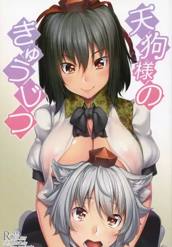 (Reitaisai 11) [Area14 (Kasei)] Ikenai Shujuukankei (Touhou Project) [Chinese] [惡墮事故調查X無毒漢化組]