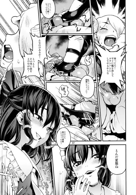 幻想郷のHな秘密