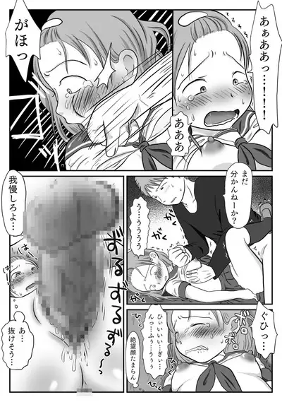 Jimiko, Rape Sareru. Series Soushuuhen